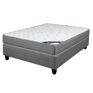 Orthopedic Student Bed DREAM BEDS
